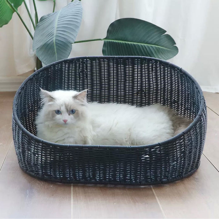 Pet bed