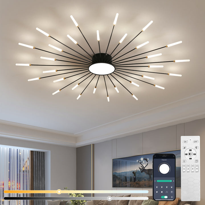 Star Explosion Ceiling Light