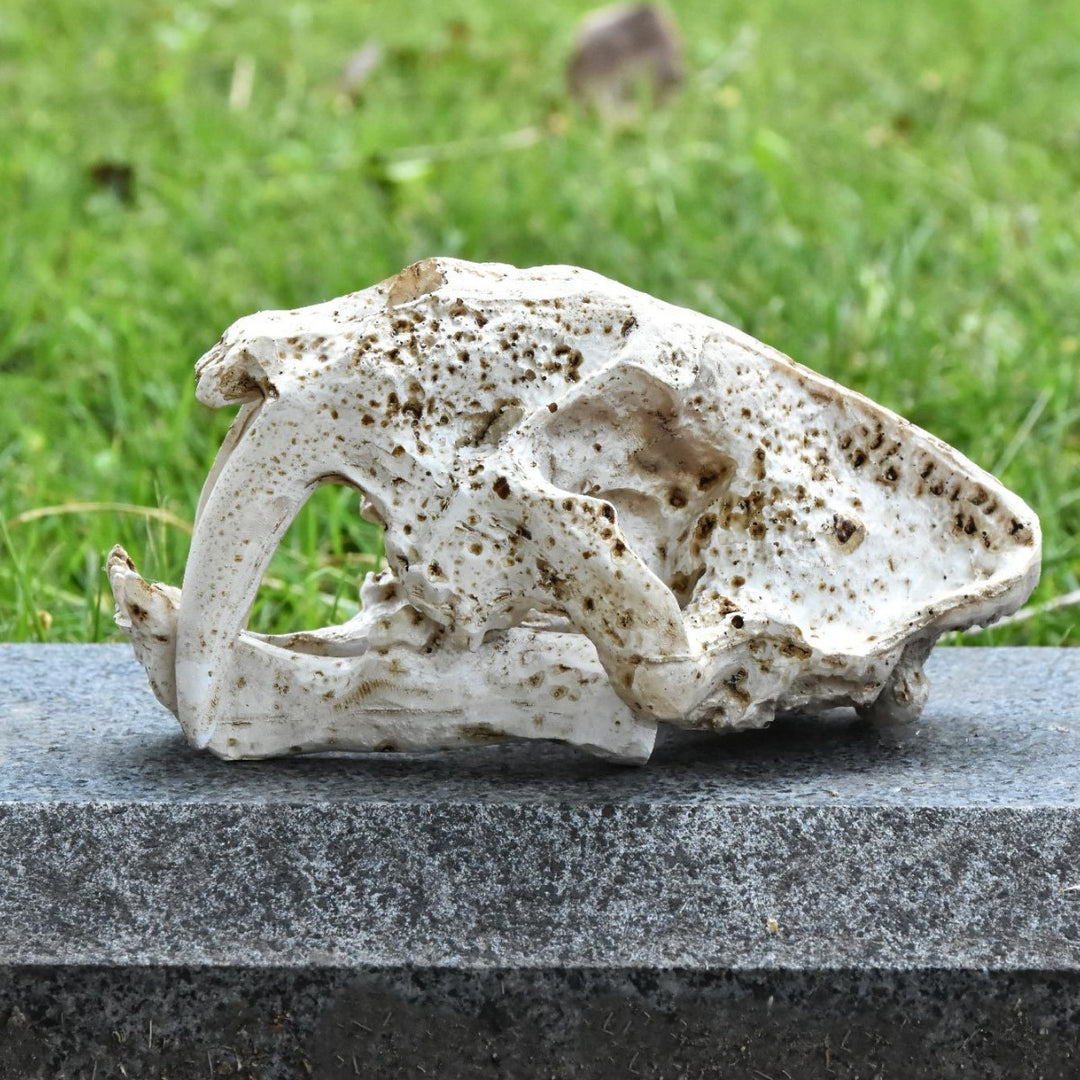 Decorative Animal Skull Figurine