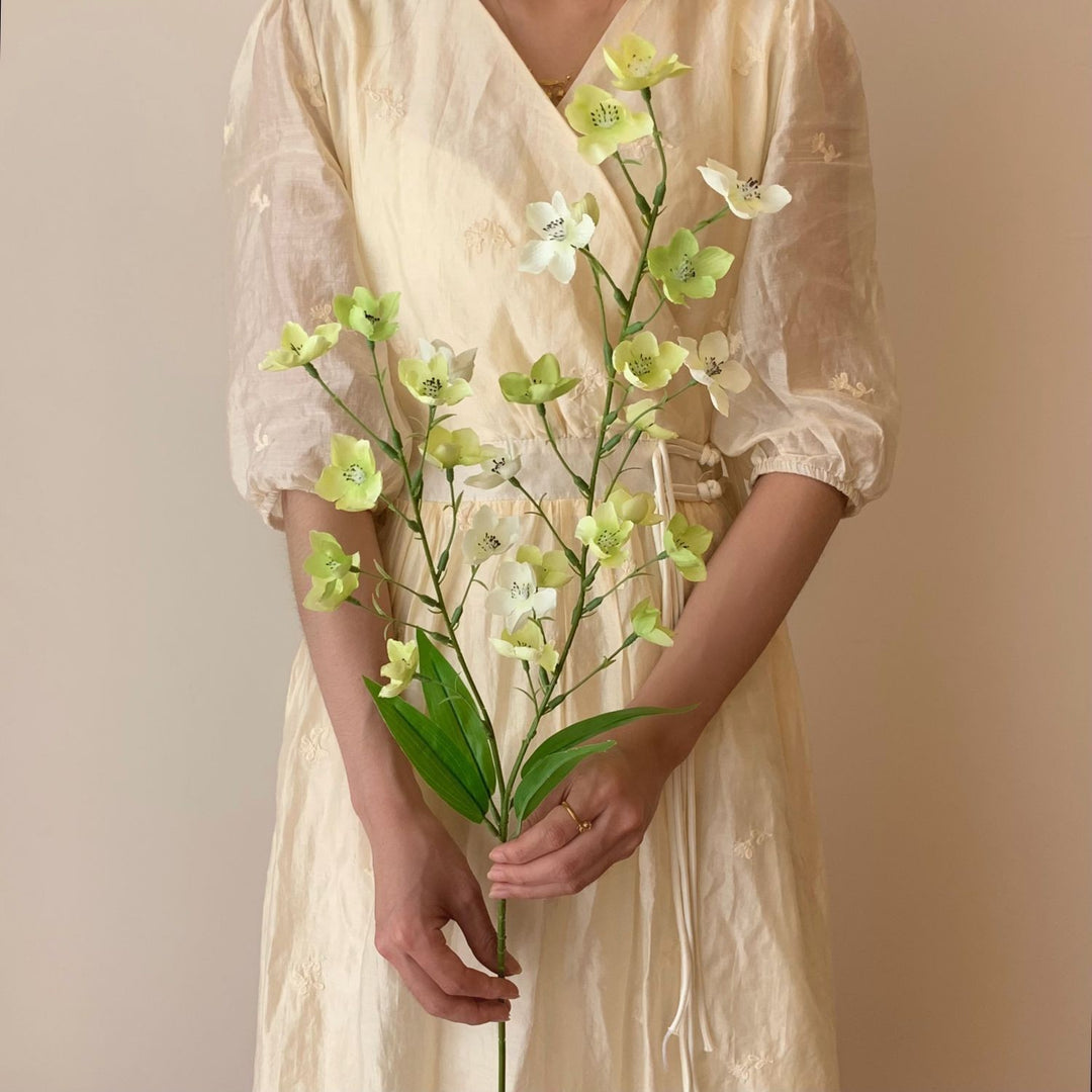 Decorative Plant
