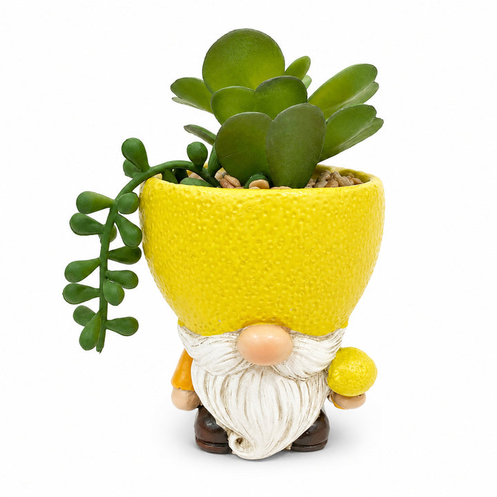 Decorative Gnome Planter for Plants