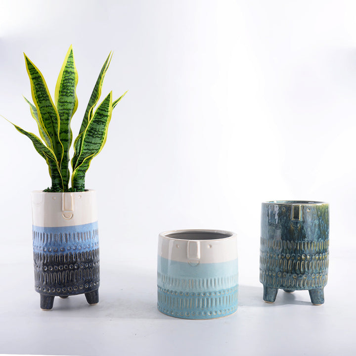 Decorative plant pot with facial features