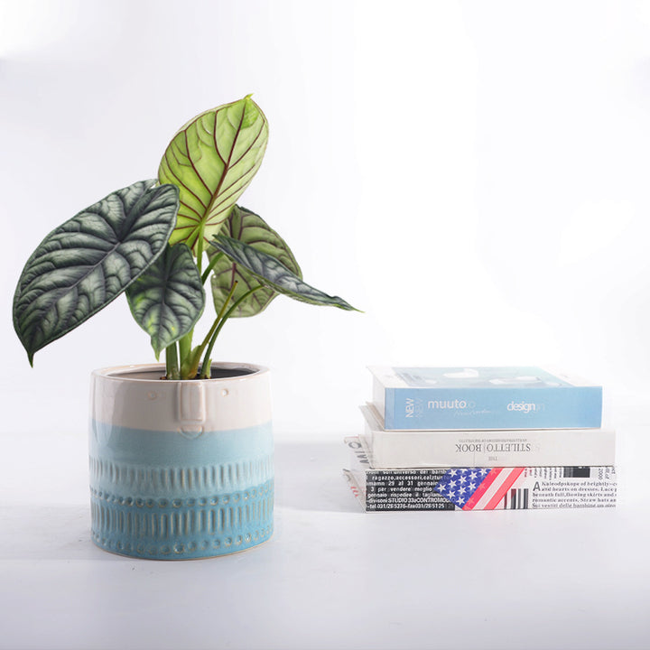 Decorative plant pot with facial features
