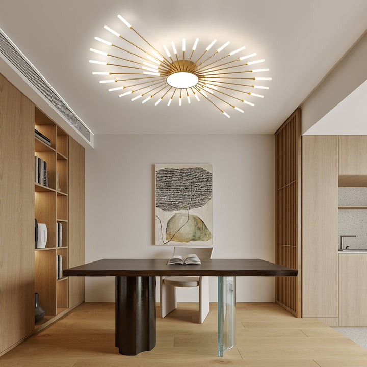Star Explosion Ceiling Light