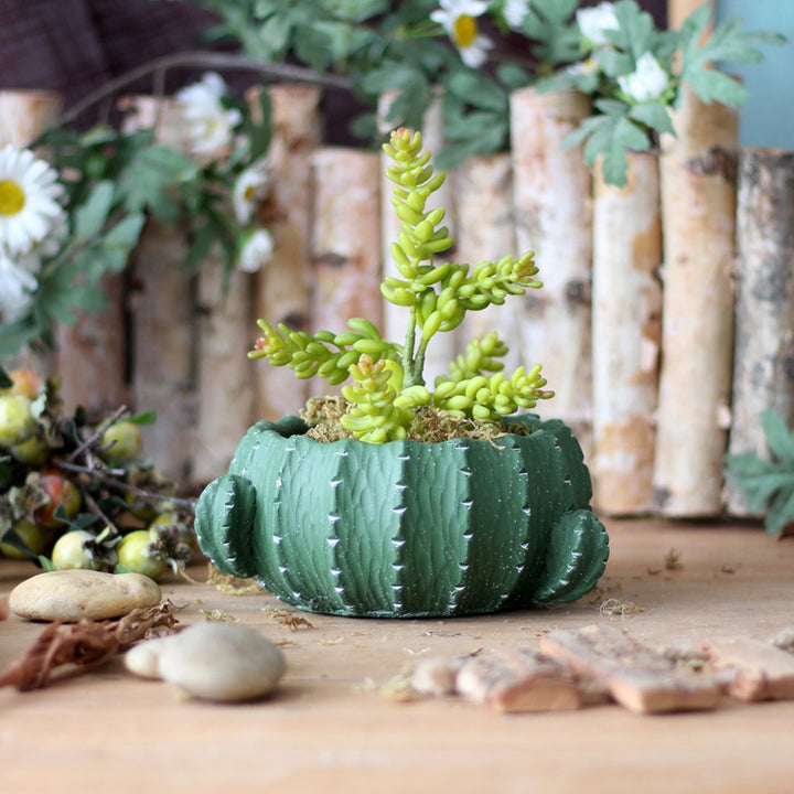 Decorative flower pot in cactus design