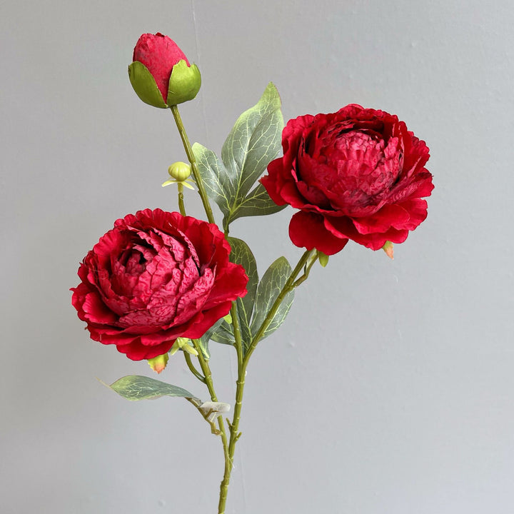 Elegant Peony Floral Stem