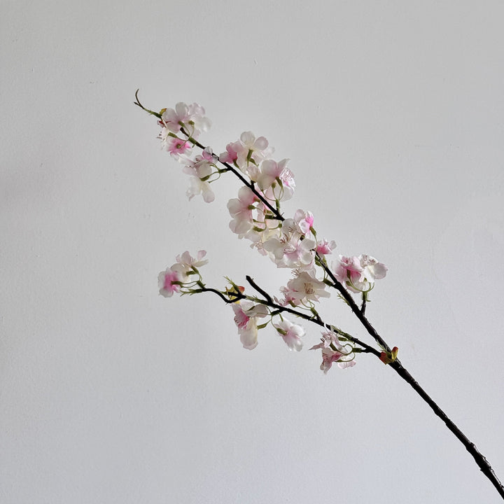 Cherry Blossom Botanical Stem