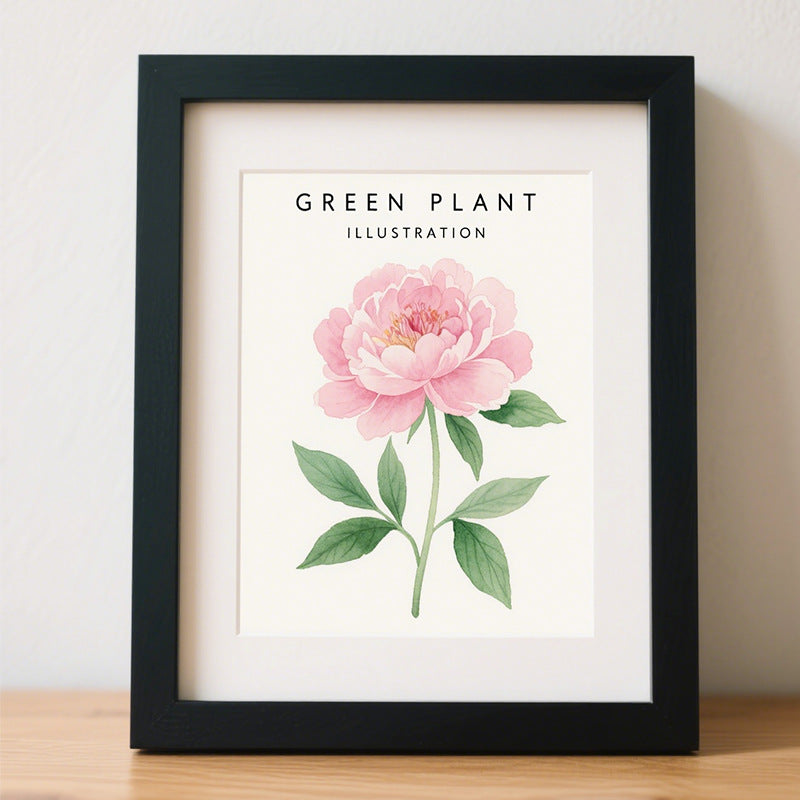 Framed Botanical Illustration Art