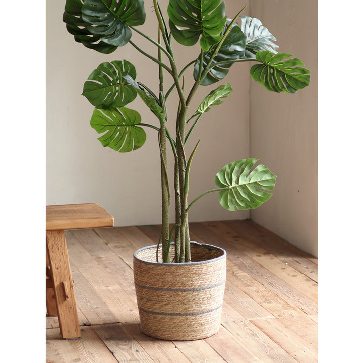 Plant basket