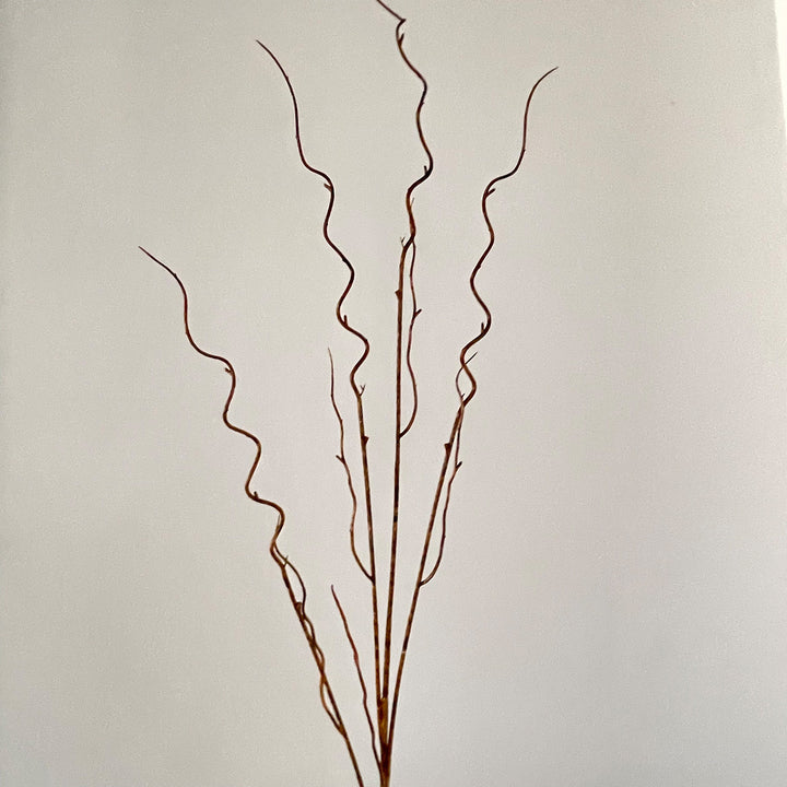 Decorative Twisted Branch Arrangement