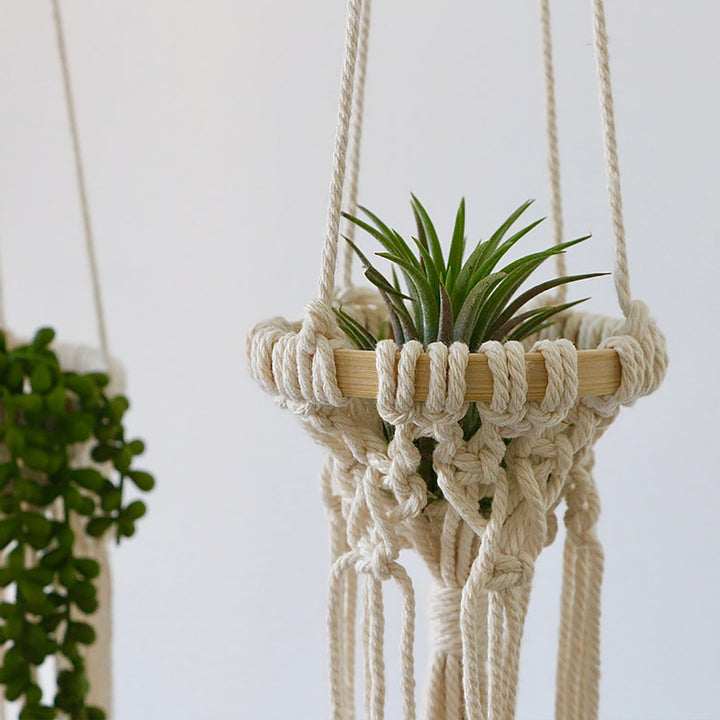 Hanging Macrame Planter
