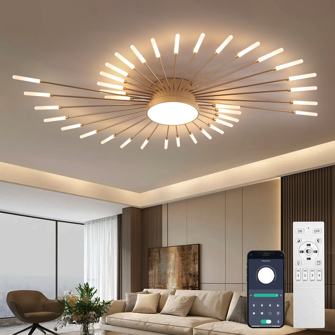 Star Explosion Ceiling Light