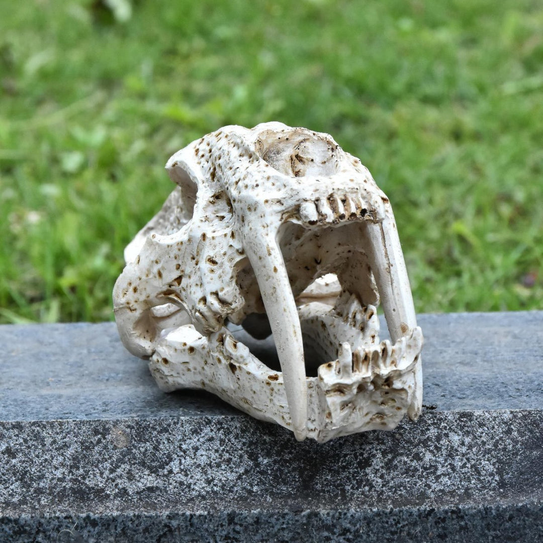 Decorative Animal Skull Figurine