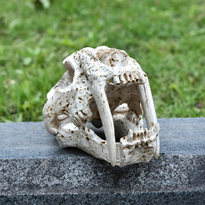 Decorative Animal Skull Figurine