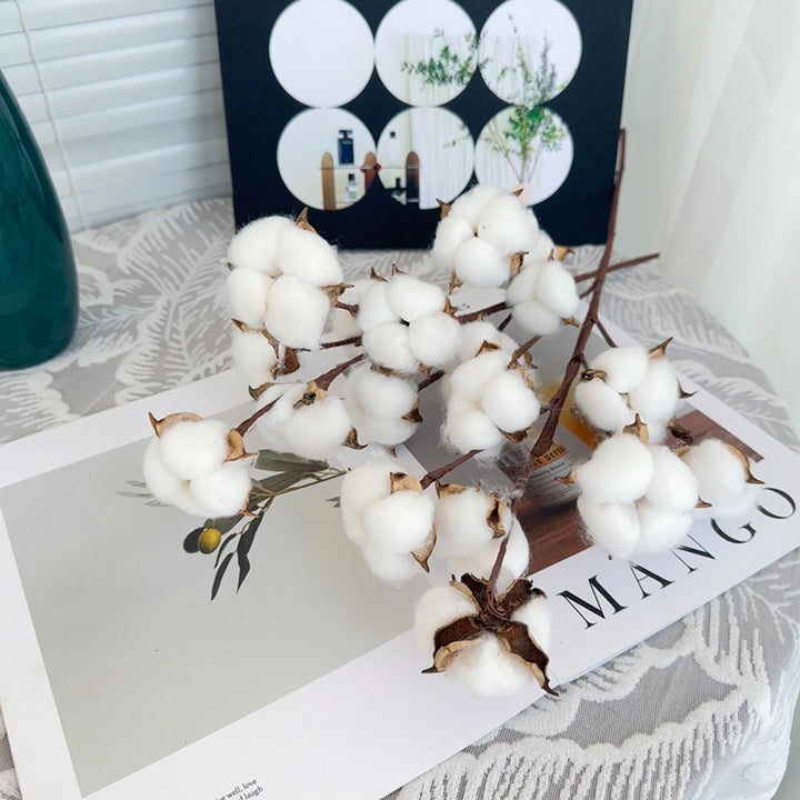 Decorative Cotton Stem for Home Decor