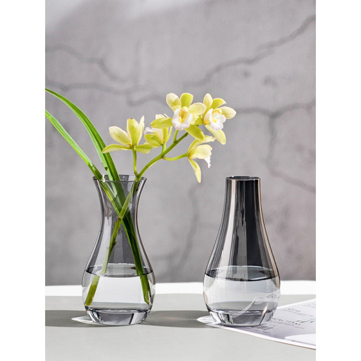 Elegant Glass Water Carafe