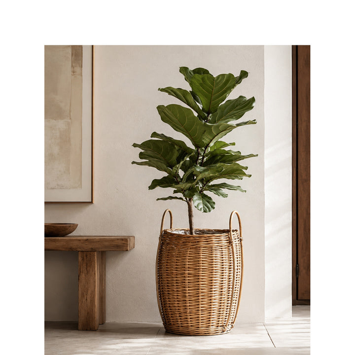 Practical storage basket