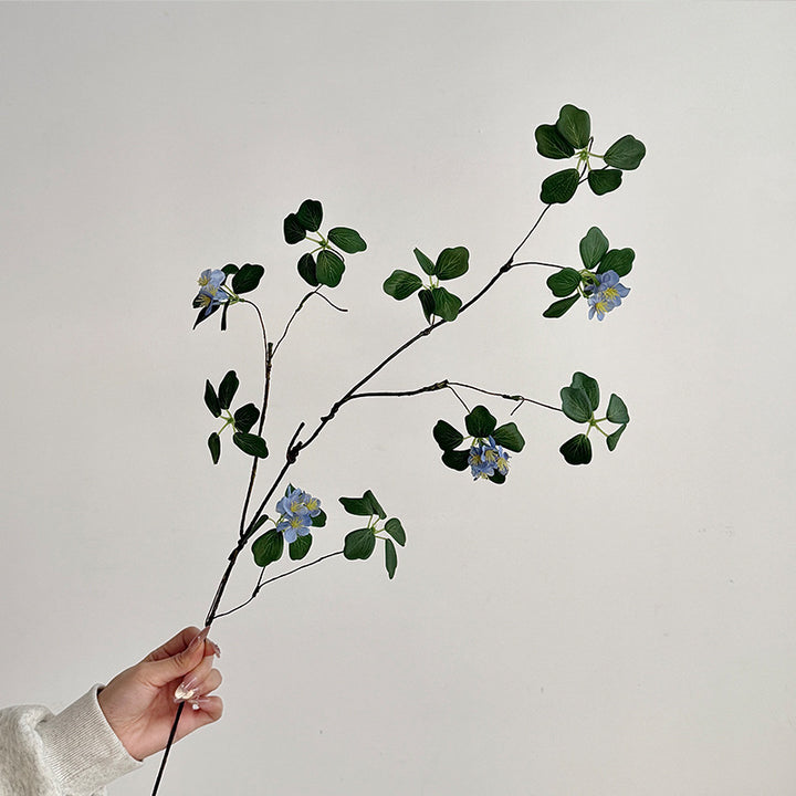 Decorative Botanical
