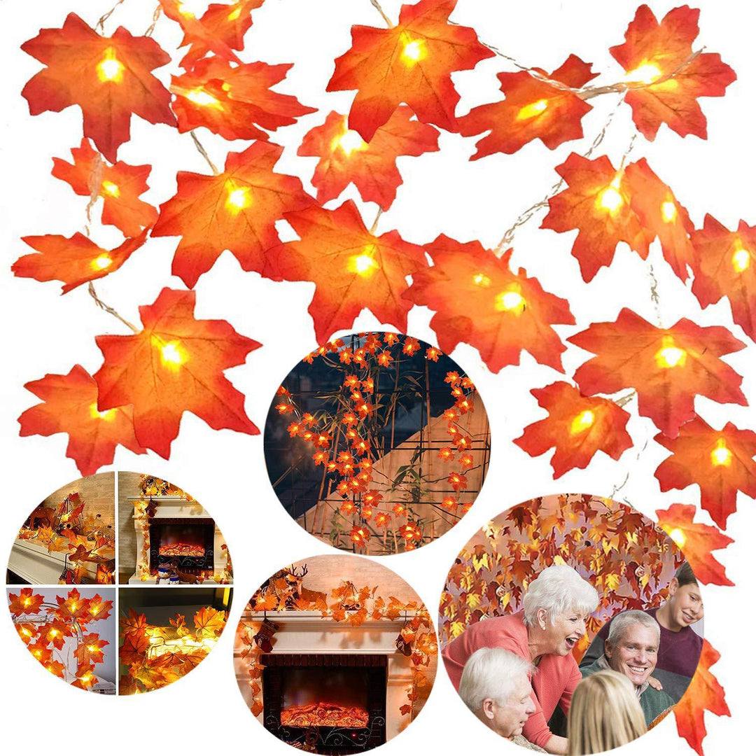 Halloween LED Pumpkin Lantern and Maple Leaf Decorative Fairy Lights