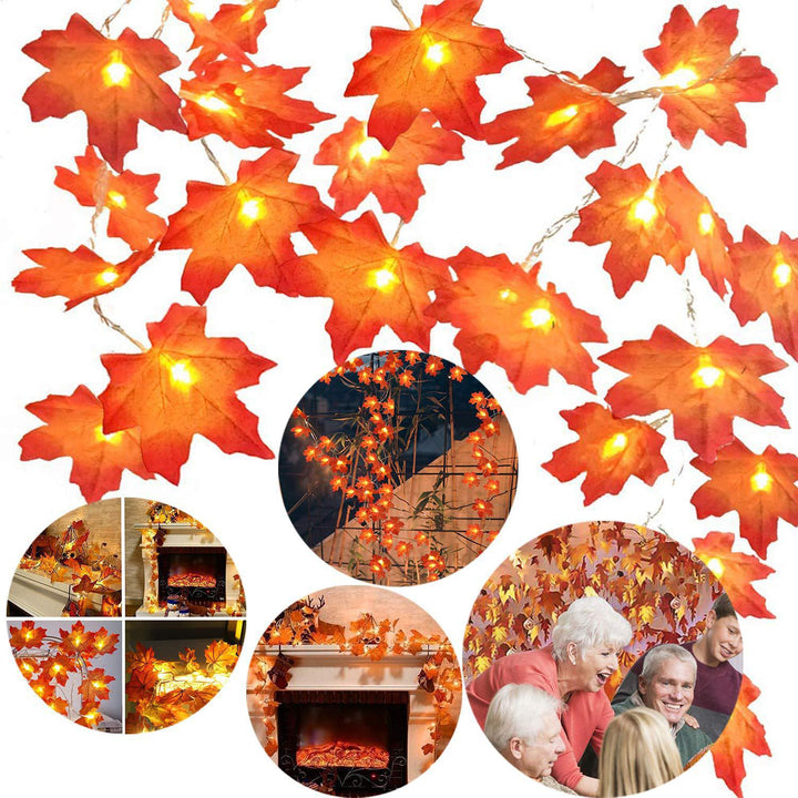 Halloween LED Pumpkin Lantern and Maple Leaf Decorative Fairy Lights