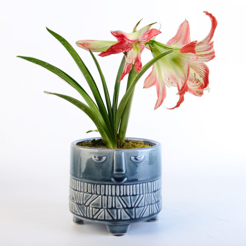 Decorative plant pot with facial features