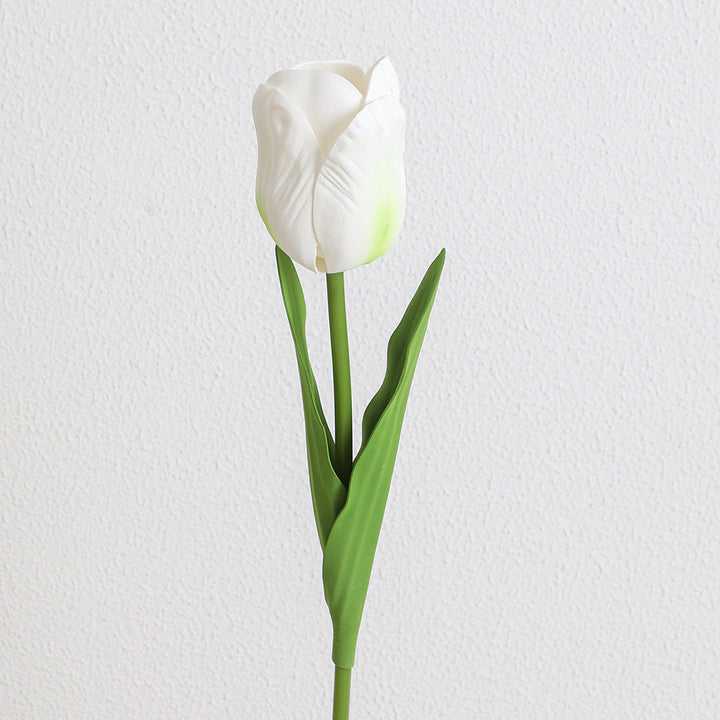 Decorative Art Tulip