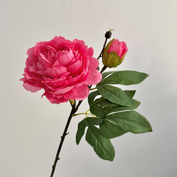 Lifelike Peony Flower Stem
