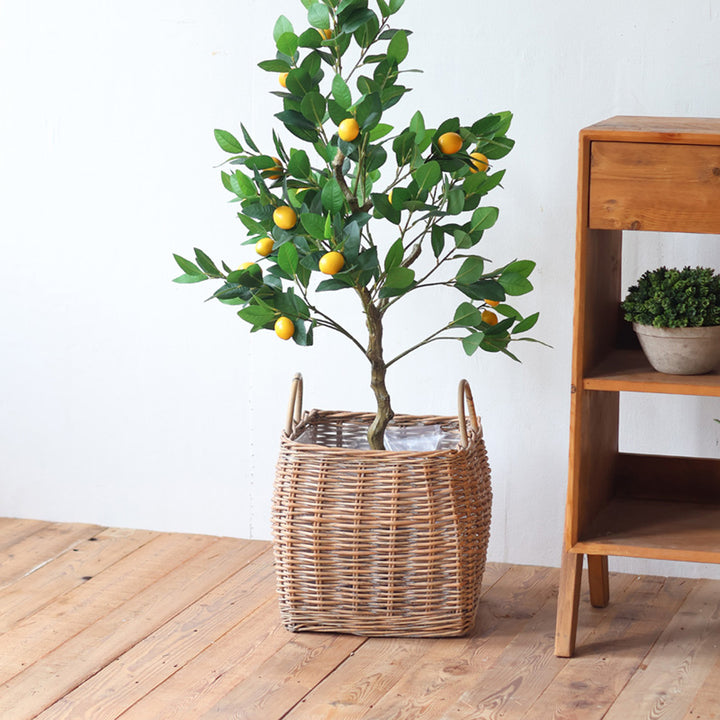Basket with Handles