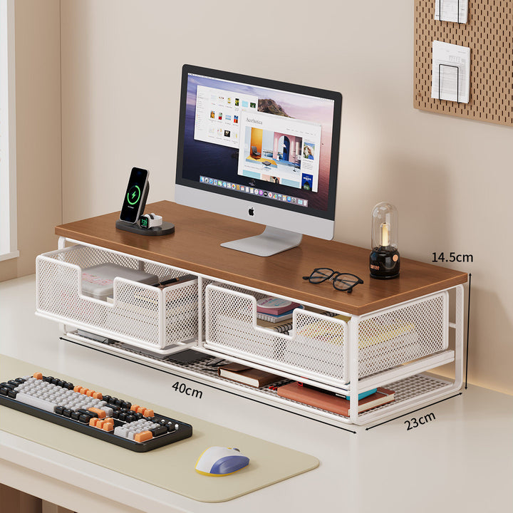 Multi-Functional Wire Mesh Desktop Organizer