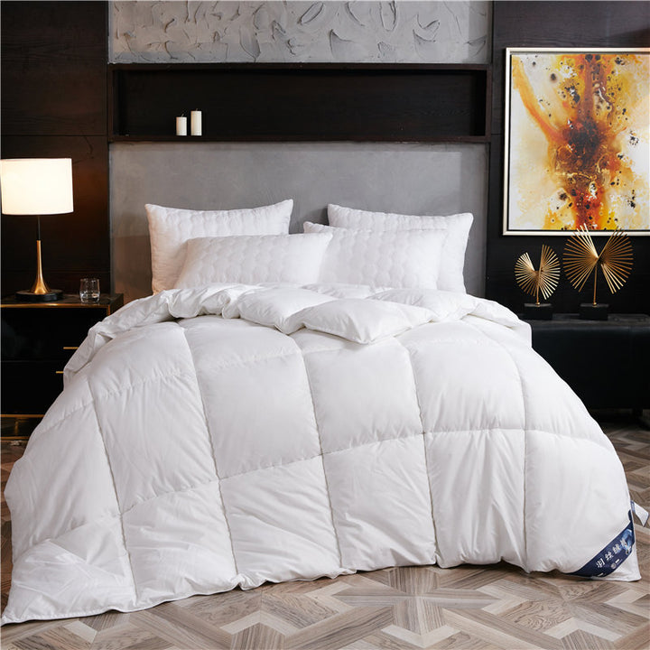 Cozy Comforter Avarnia