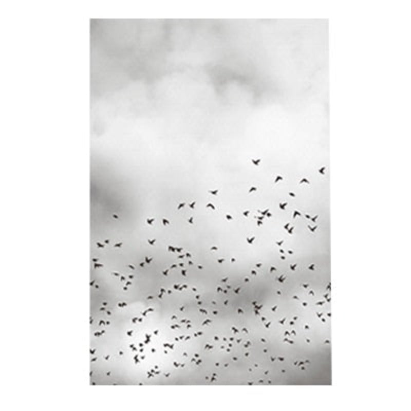 Grey Dandelion Sky Scene Life Quotes  - Canvas Wall Art Painting