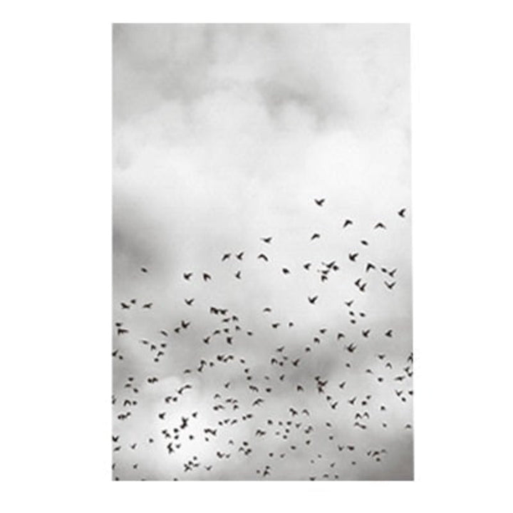 Grey Dandelion Sky Scene Life Quotes  - Canvas Wall Art Painting