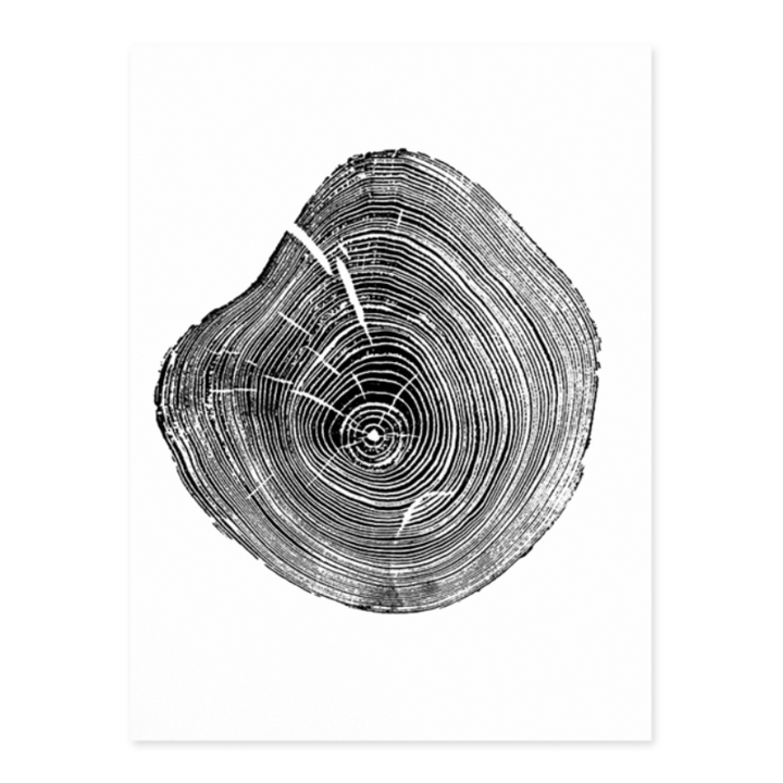 Tree Annual Rings Black and White - Canvas Wall Art Painting