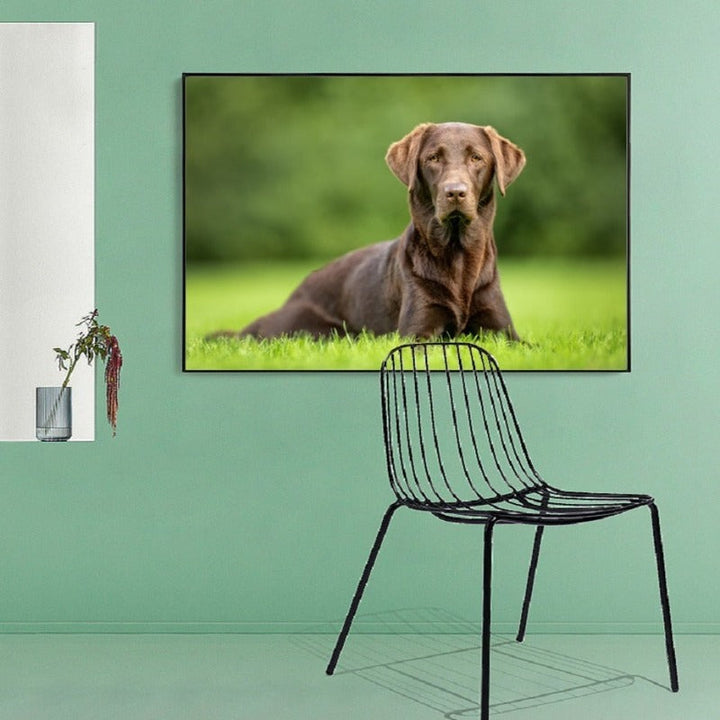 Lovely Modern Pet Dog - Canvas Wall Art Painting