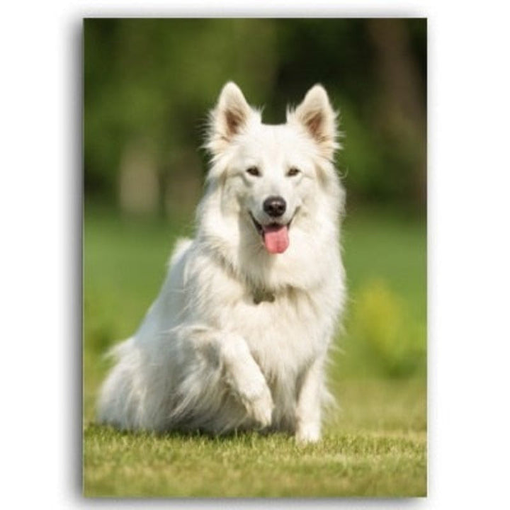 Lovely Modern Pet Dog - Canvas Wall Art Painting