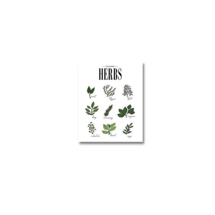 Herbs Poster Botanical Kitchen - Canvas Wall Art Painting